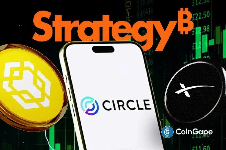 Crypto Stocks to Watch as Binance Adds Circle, Strategy, & Other bStocks as Collateral Assets