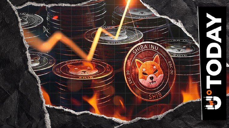 7.64 Million SHIB Burned in Hours as Shiba Inu Deflation Mechanism Continues