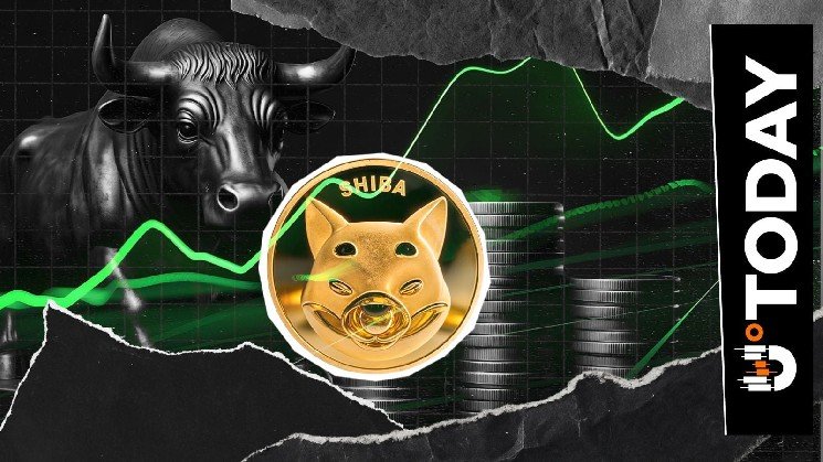 Shiba Inu's Sudden 37% Spike in Exchange Activity Puts Bulls in Charge